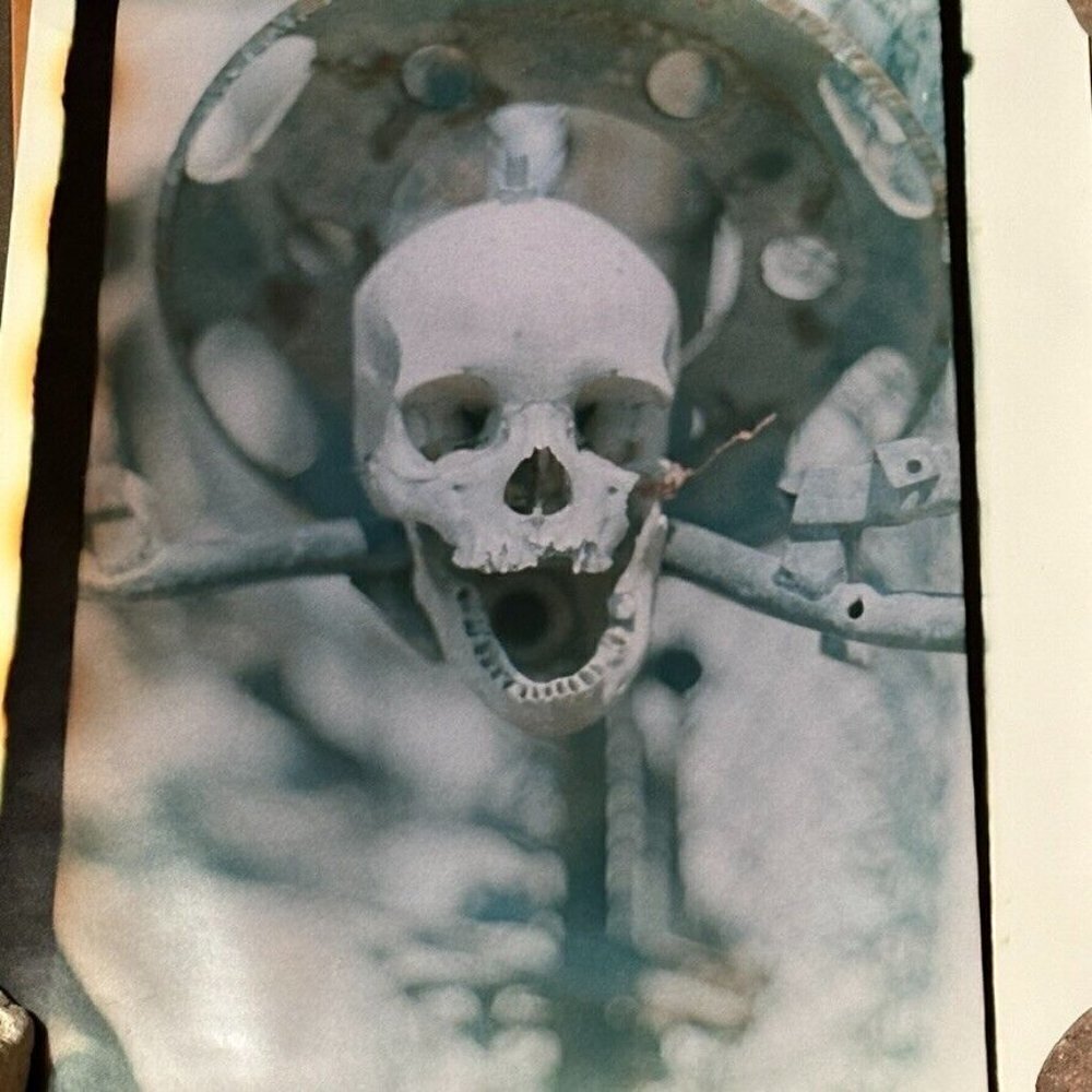 Janine Gordon Photograph 20x24" C-print Edition Signed Voodoo Skull Haiti Art